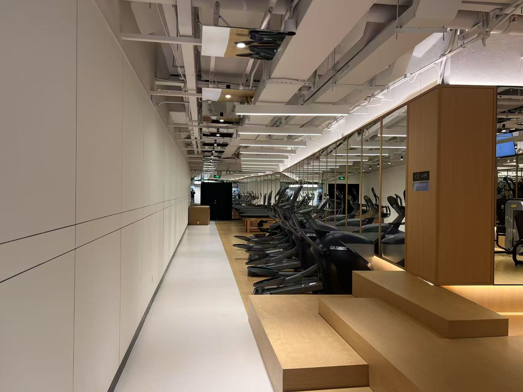 1751031652200176.jpg mystepeps Life.jpg